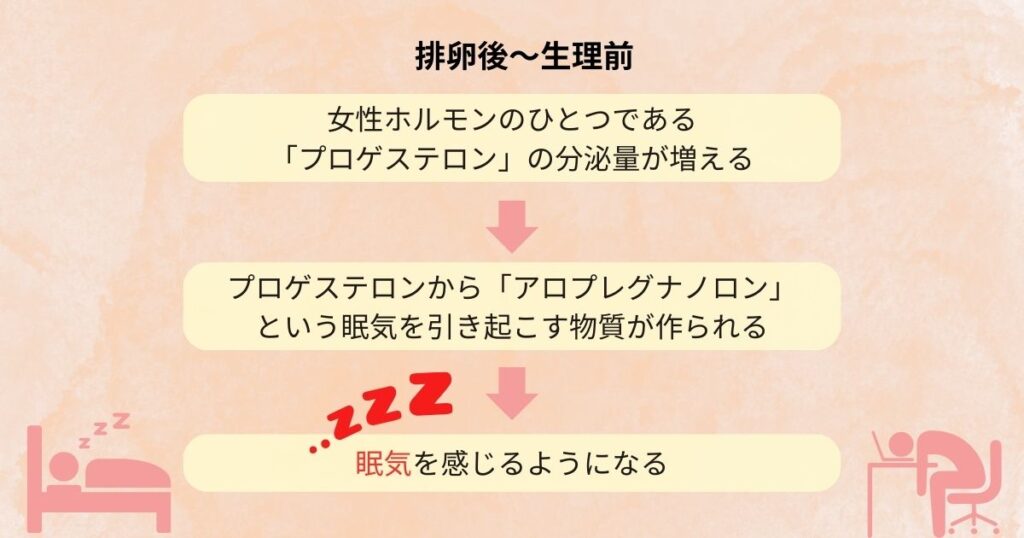排卵後から生理中に眠くなる原因